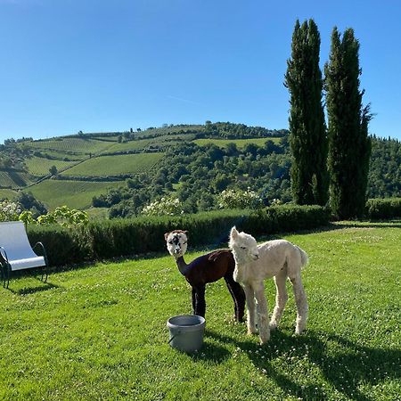 Villa Rignana Chianti Estate, Pool, Tennis,Cook グレーヴェ・イン・キアンティ エクステリア 写真